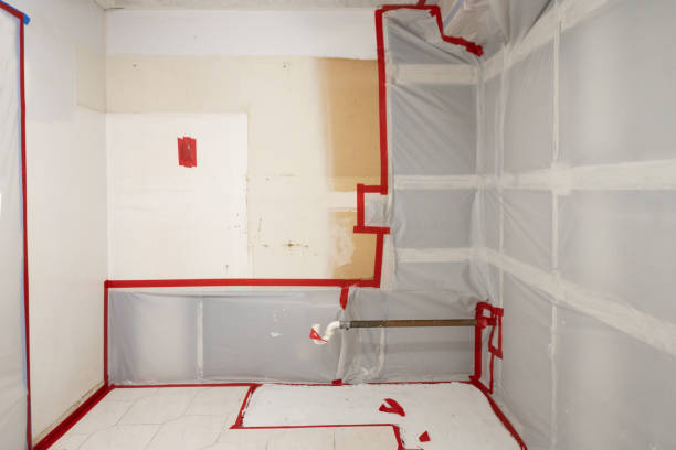 Best Industrial Mold Remediation  in USA